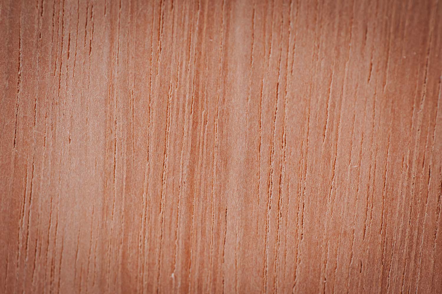 Menuiserie en essence d'eucalyptus